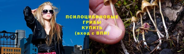 ПСИЛОЦИБИНОВЫЕ ГРИБЫ Аркадак