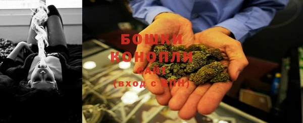 ПСИЛОЦИБИНОВЫЕ ГРИБЫ Аркадак