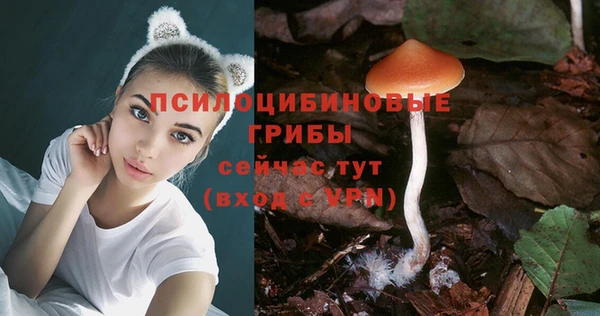 экстази Арсеньев