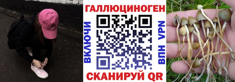 Галлюциногенные грибы мухоморы  OMG как войти  Ржев  где купить  