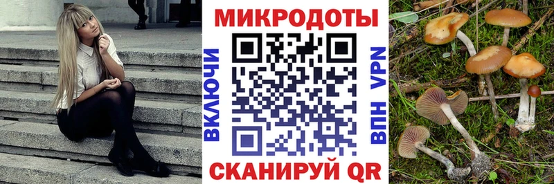Галлюциногенные грибы Psilocybine cubensis Ржев