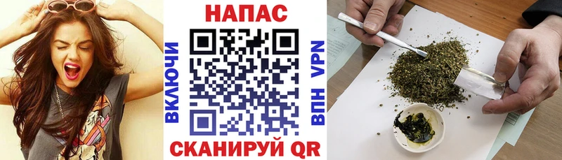 Бошки марихуана White Widow  mega как зайти  Ржев 
